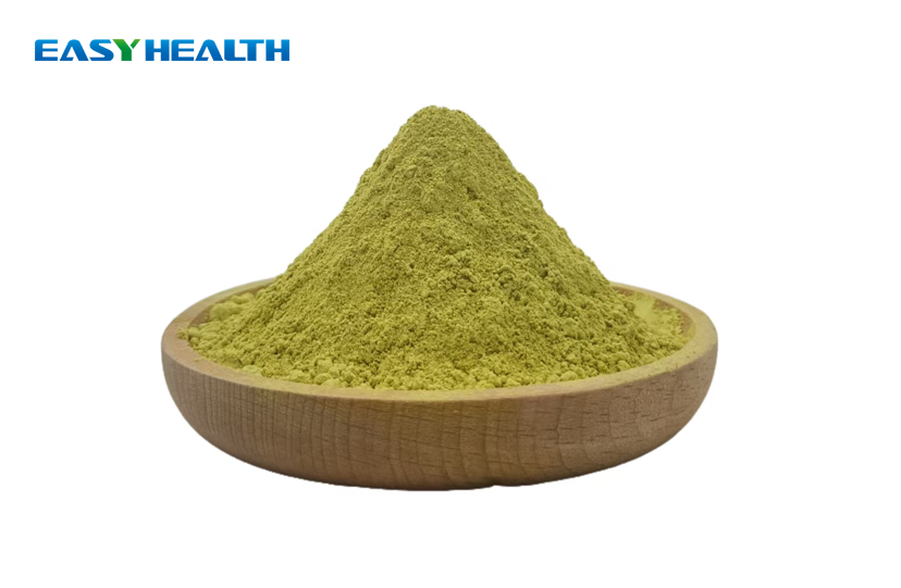 Sophora Japonica Extract Quercetin